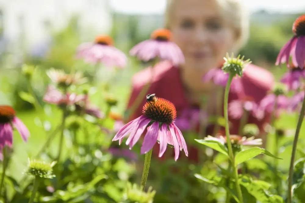 A woman in the background looking at a bee on a flower in the foreground.
