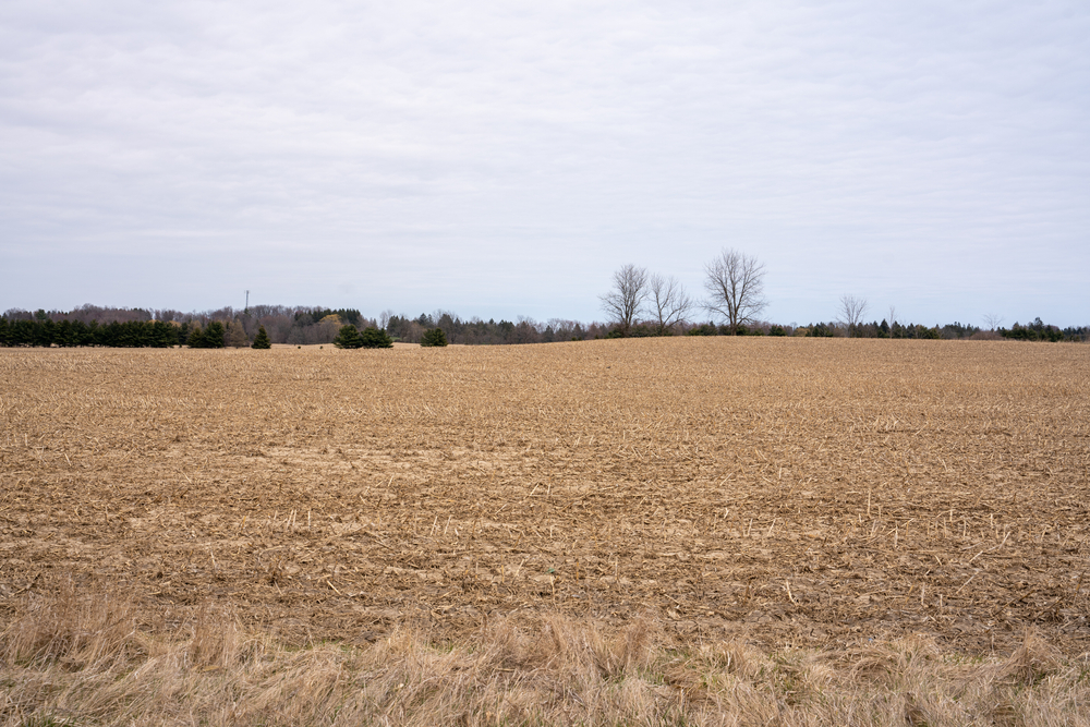 A barren field.