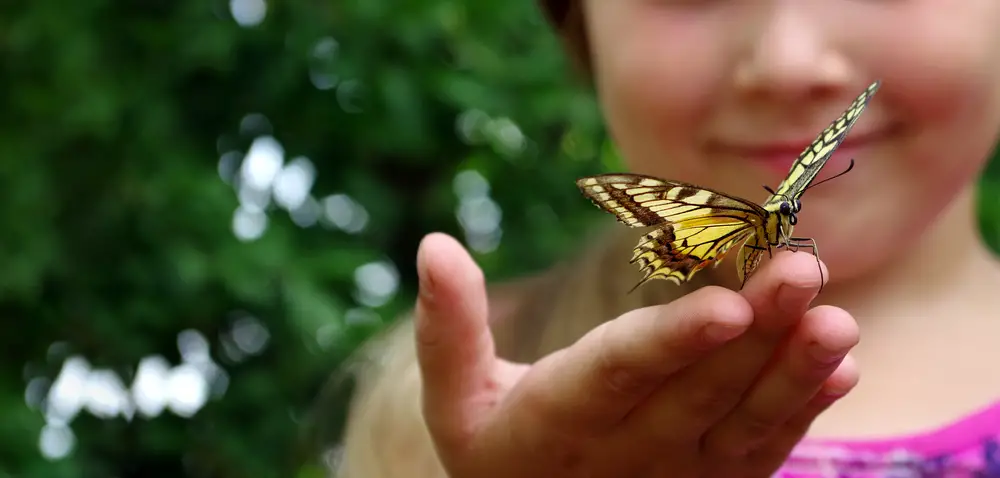 A kid with a butterfly on their hand.
