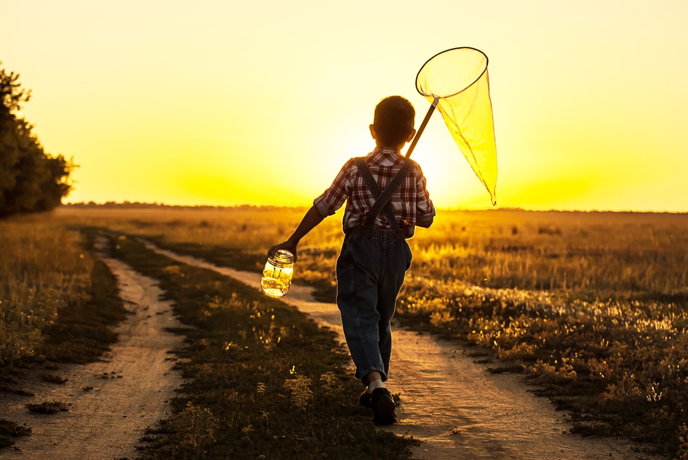 A kid going to catch some butterflies.