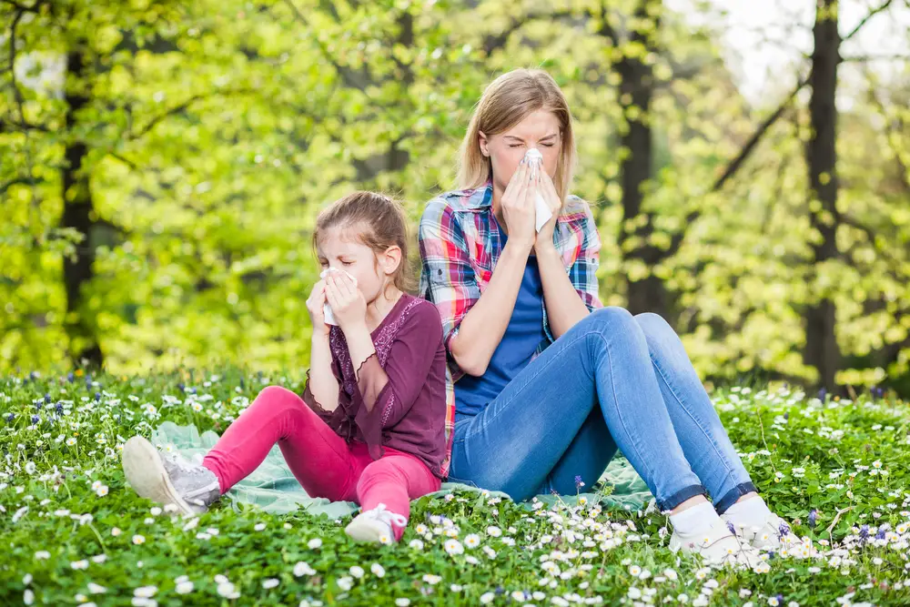 A mother and daughter sitting outside and sneezing into tissues.