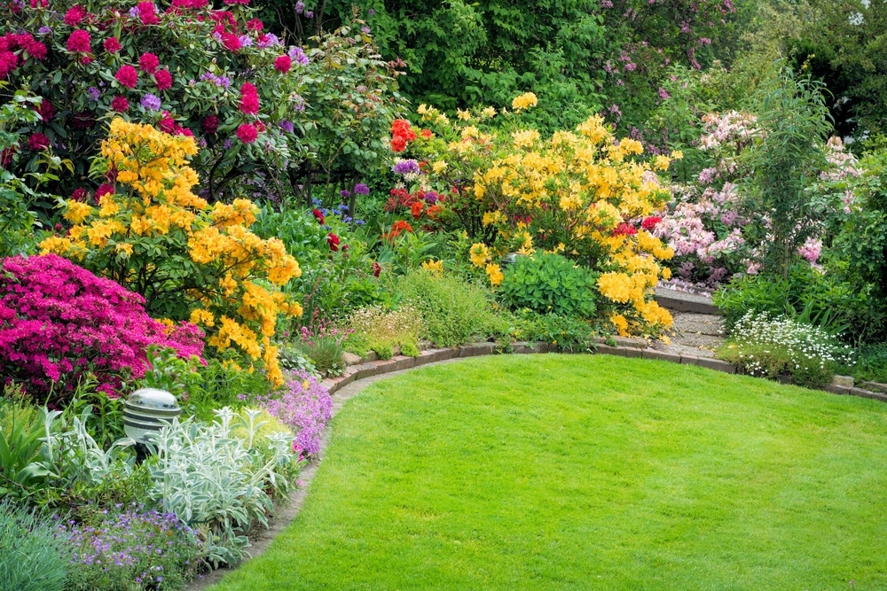 A garden in full bloom.