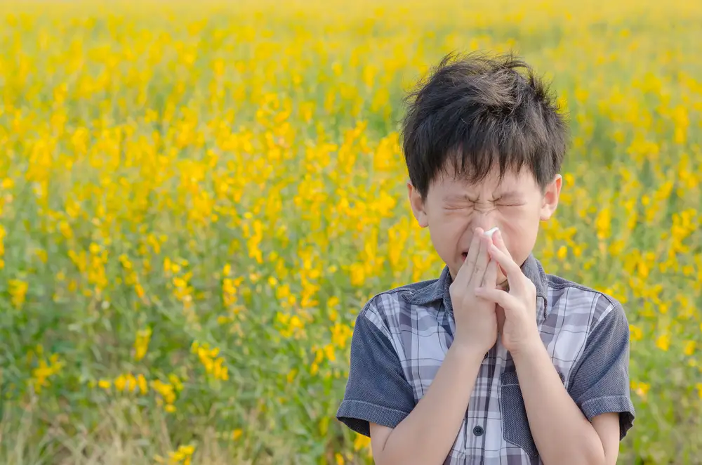 A boy sneezing in a field.