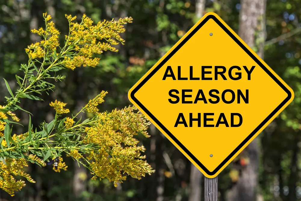 A sign saying "Allergy Season Ahead" along with some plant life behind it.
