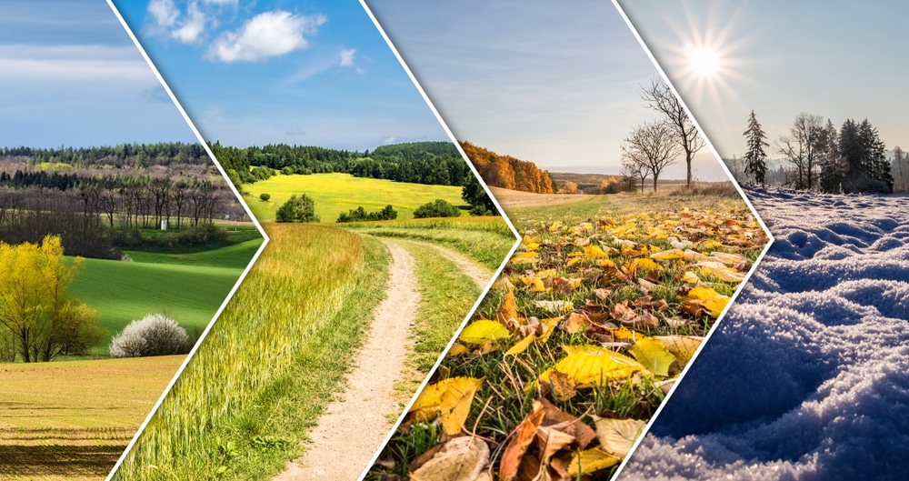 A collage of the four seasons.