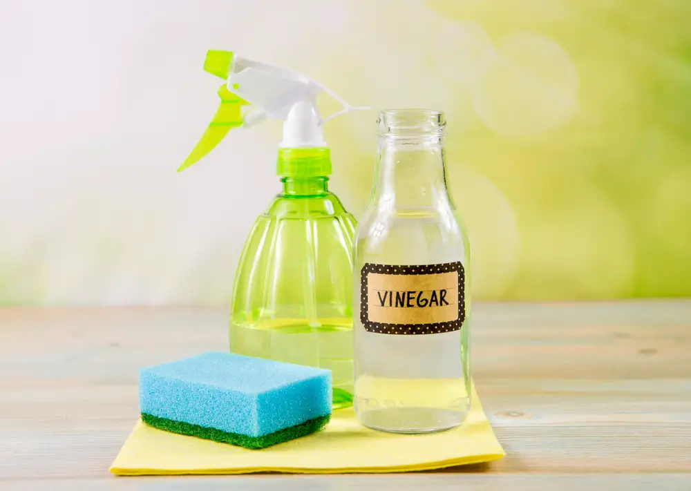 A bottle of vinegar next to a spray bottle and a sponge.