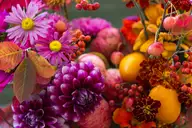 A closeup of fall flowers and fruits.