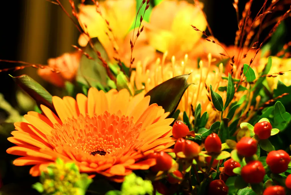A closeup of an autumn-themed bouquet of flowers.