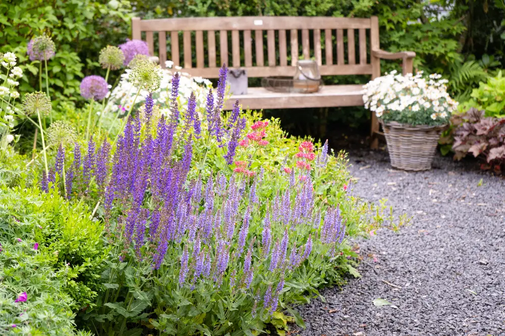 A garden area with a bench and multiple different flowers.