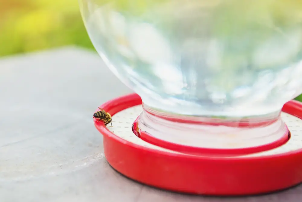 A bee eating from a red bee feeder.