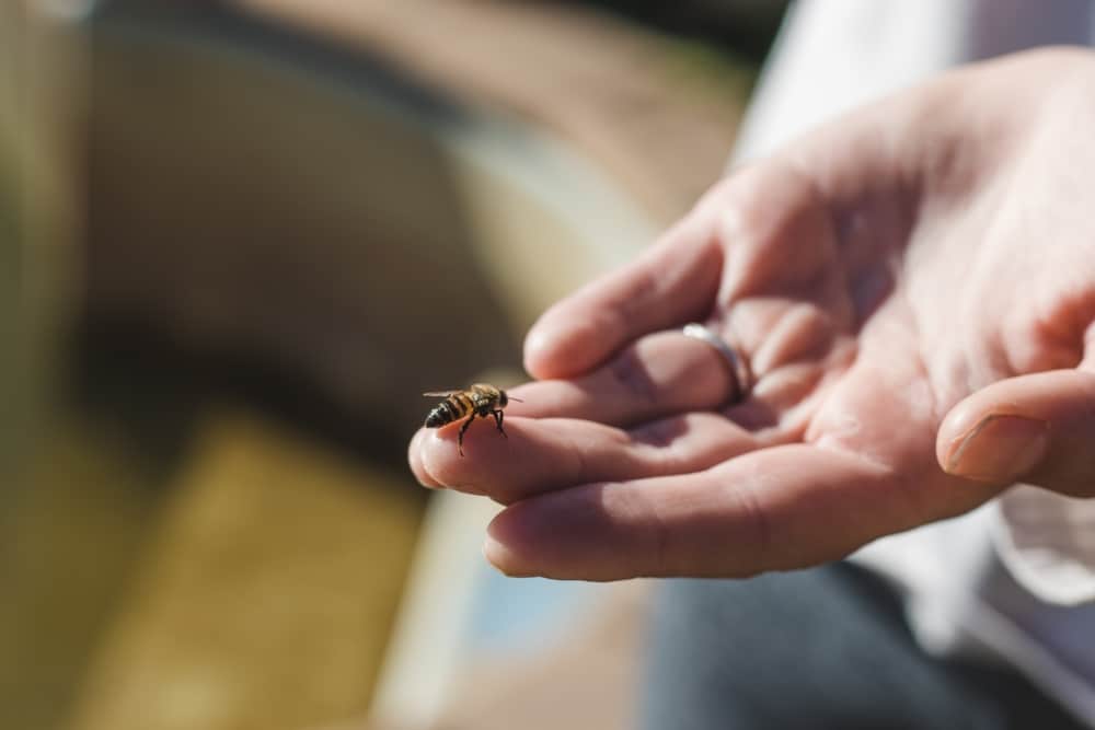 A woman with a bee on her middle finger.