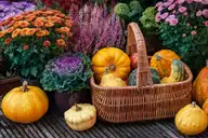 Fall garden products such as pumpkins, squash, and flowers.