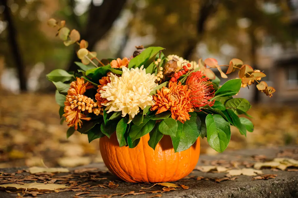 A pumpkin bouquet on the ground.