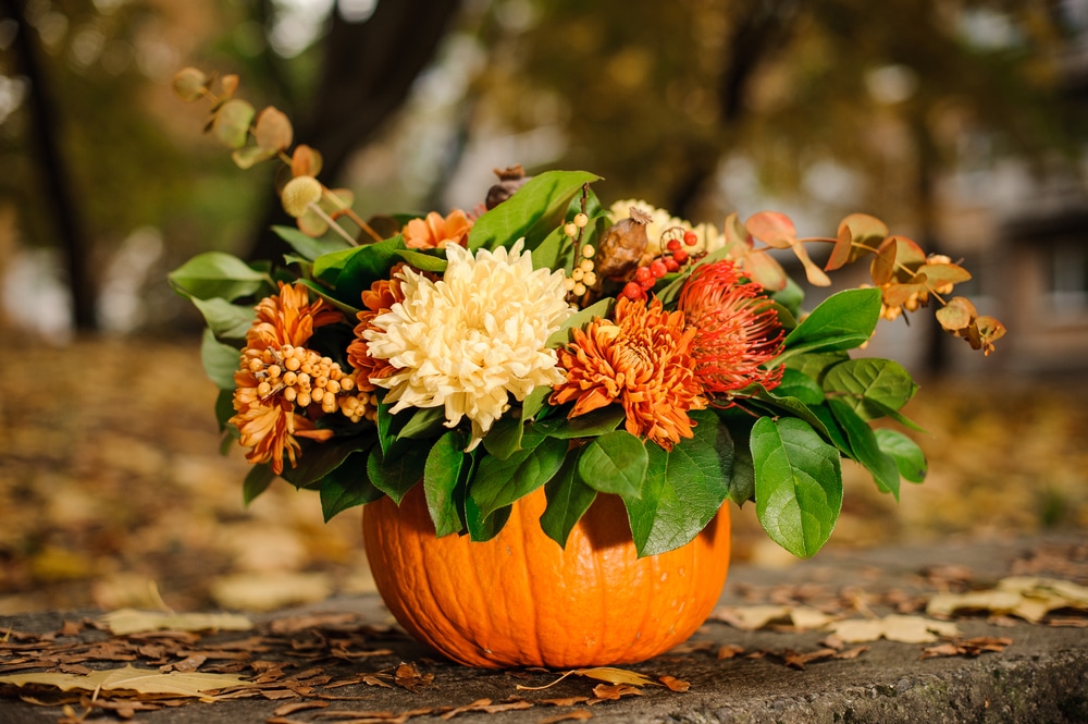 A pumpkin bouquet on the ground.