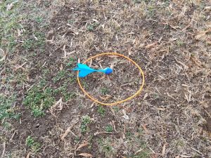 A blue lawn dart in a circle on the ground.