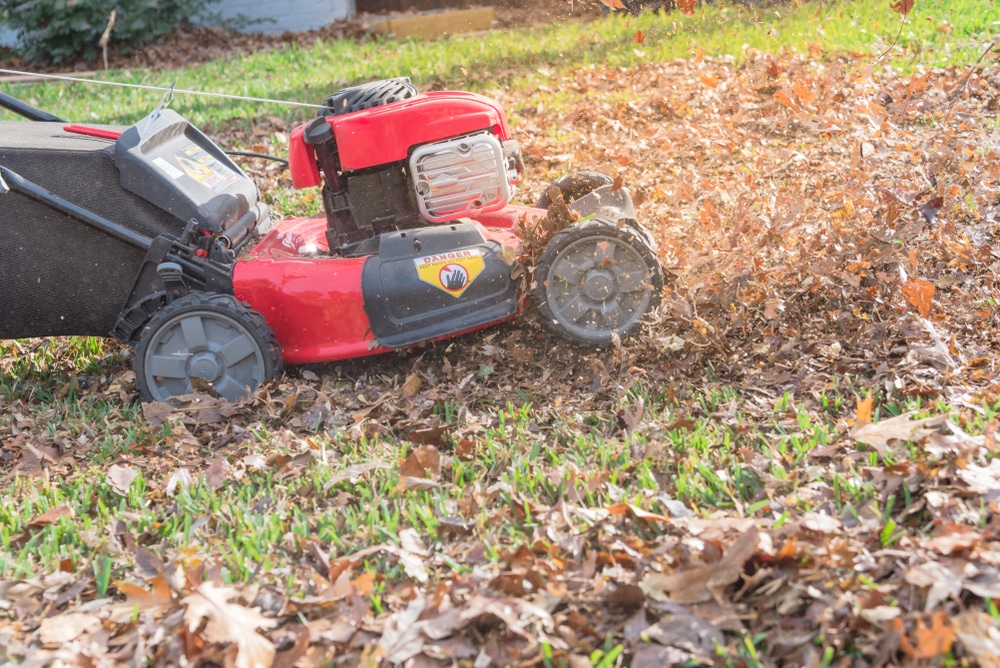 Someone shredding fallen leaves with a red lawn mower.