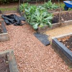 Landscape fabric laid under gravel pathways between raised garden beds.