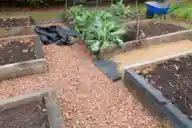 Landscape fabric laid under gravel pathways between raised garden beds.