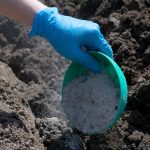 A closeup of someone's hand pouring ash into their garden soil with a green bowl.