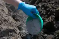 A closeup of someone's hand pouring ash into their garden soil with a green bowl.
