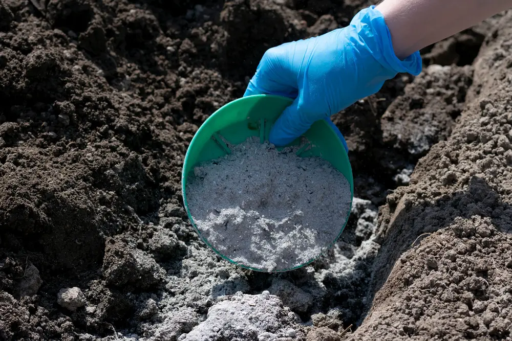 A closeup shot of a gloved hand dropping ashes into soil with a green bowl.