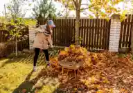 A woman raking dead leaves and putting them into her wheelbarrow.