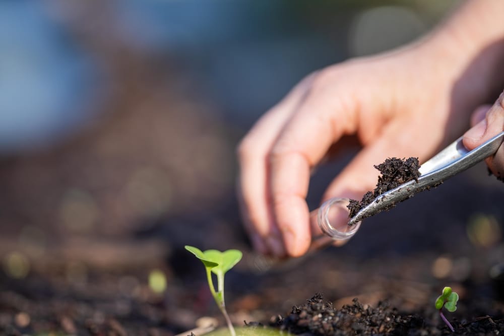 A closeup of hands putting soil into a vial.