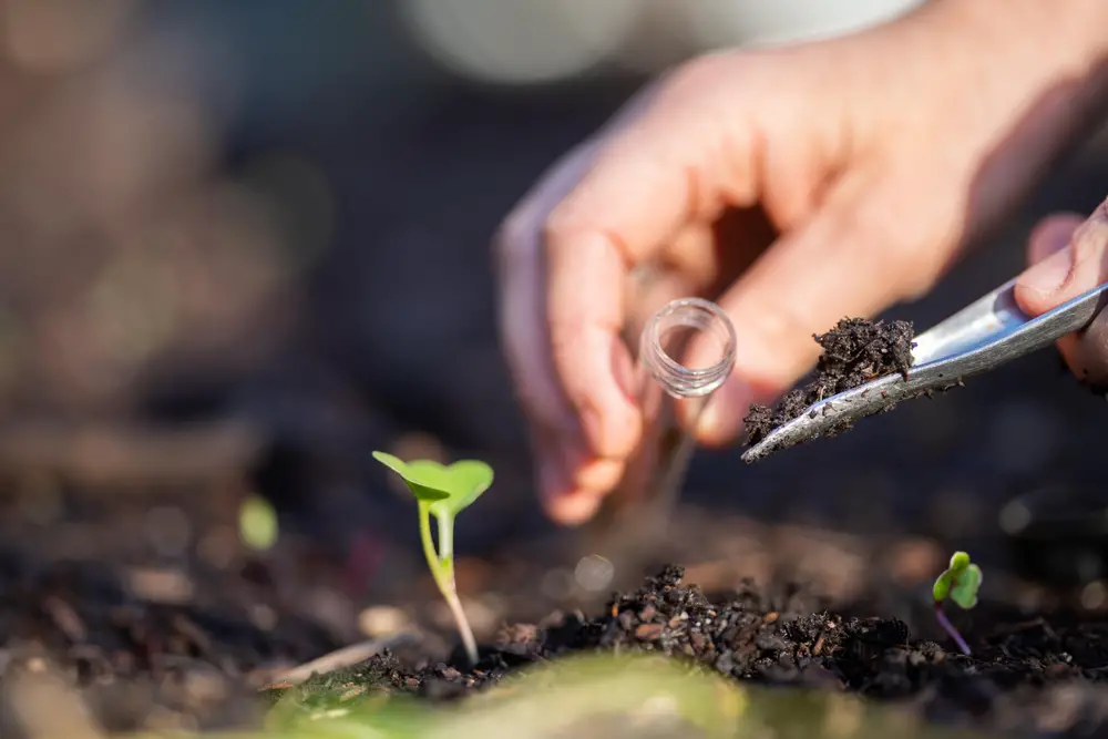 A closeup shot of someone's hands collecting soil with a garden trowel, which they're about to put into a vial.