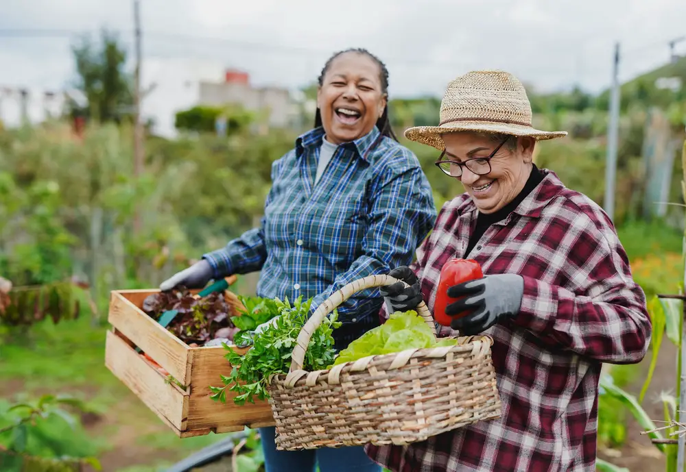 Senior women having a good time carrying freshly picked produce from a community garden.
