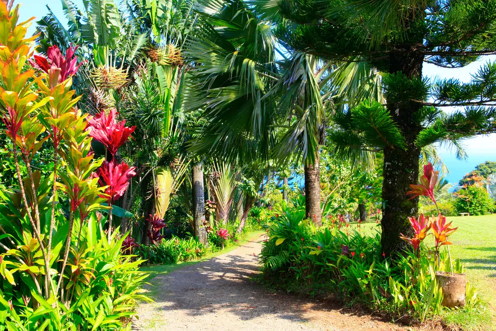 A tropical garden in Garden Of Eden, Maui, Hawai'i.