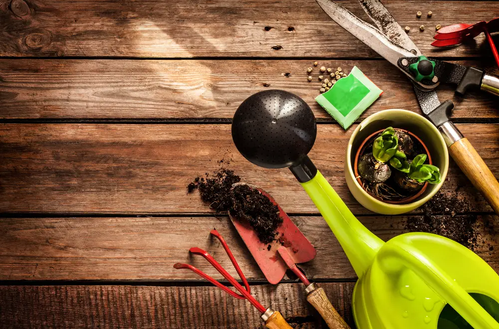 Gardening tools, such as a watering can, shears, and trowel, arranged on a wooden table.