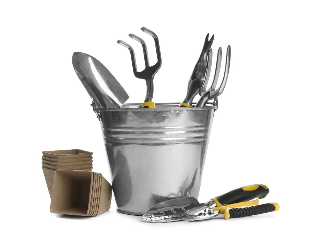 A collection of gardening tools, such as a trowel, pruners, and bucket against a white background.