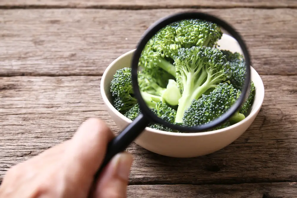 Someone inspecting broccoli in a bowl on a table with a magnifying glass.