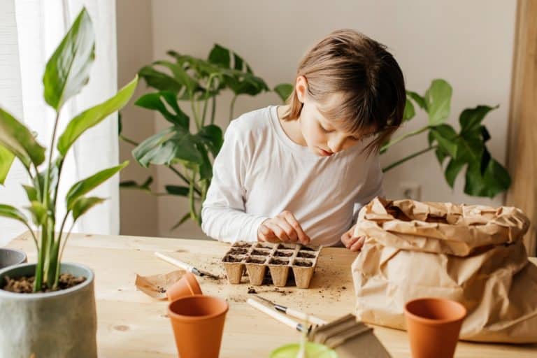 How To Start An Indoor Vegetable Garden: The Complete Guide - Gardenia ...