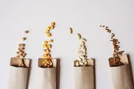 Four packets of spilled seeds.
