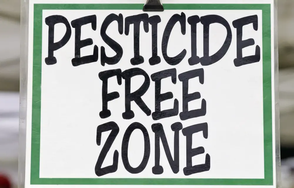 A white sign with a green border saying "Pesticide Free Zone" in black lettering.