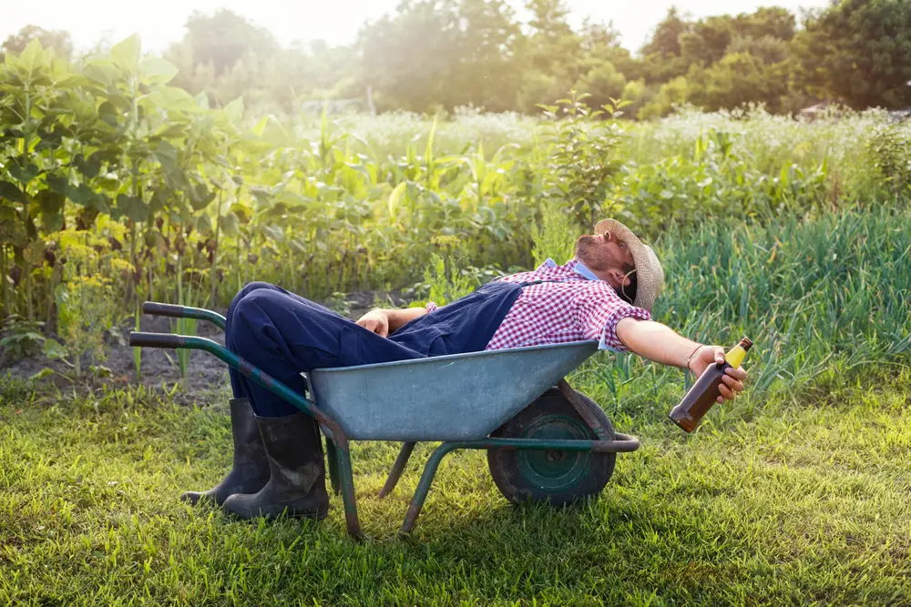 A male farmer relaxing with a drink in a wheelbarrow.