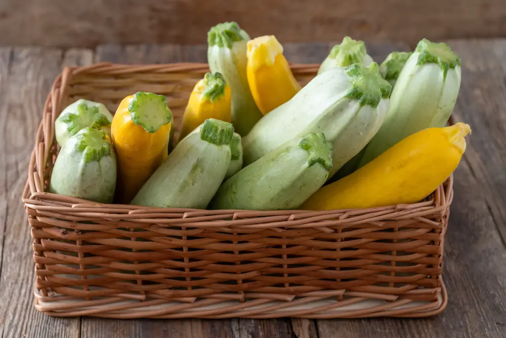 Bunches of green and yellow squash in a basket on a table.