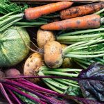 20 Best Vegetables For Your Garden