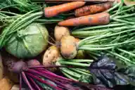 A closeup of some freshly harvested vegetables, including carrots, turnips, and beets.
