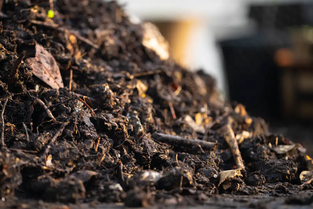 A closeup of a compost pile.
