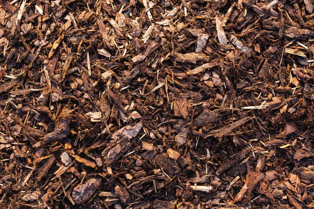 A closeup of recycled wood chip mulch.
