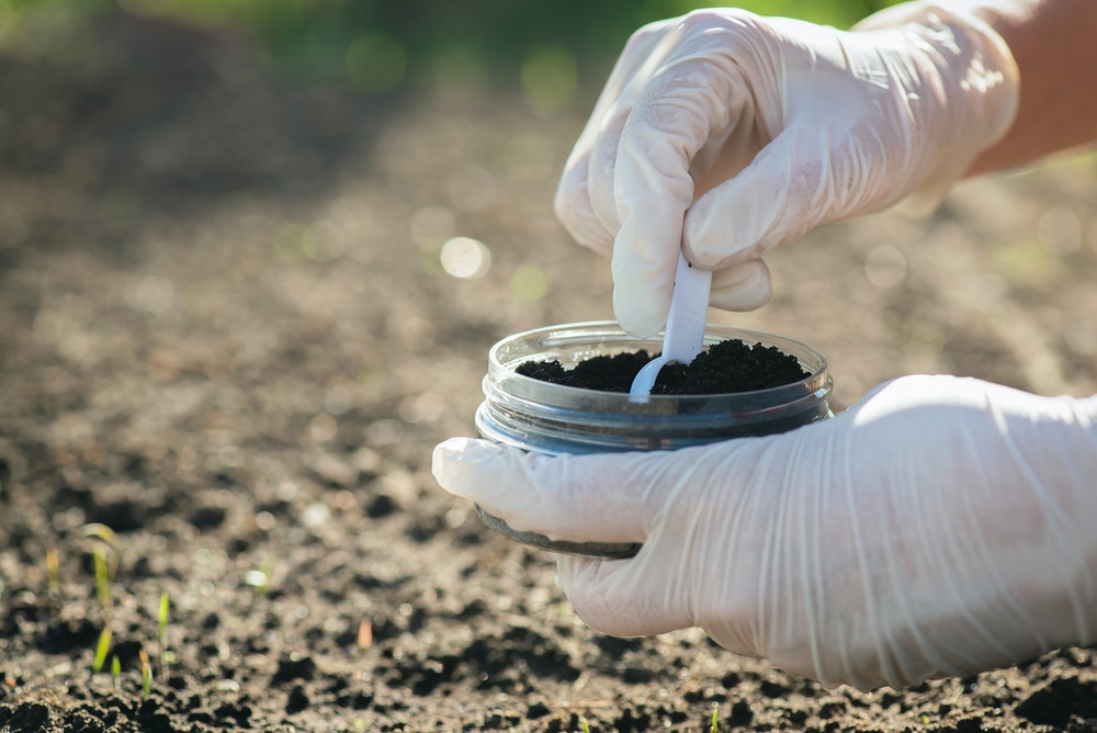 Gloved hands collecting soil in a dish outside.