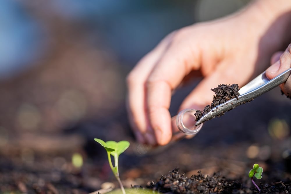 Hands collecting a soil sample outside.