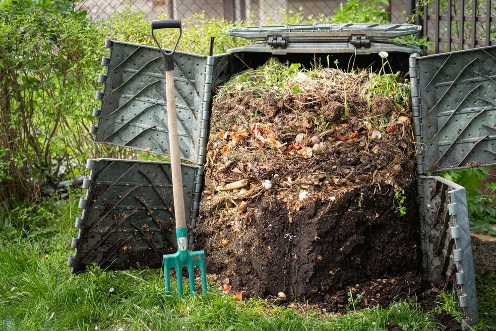 Rotting compost inside a plastic compost bin.