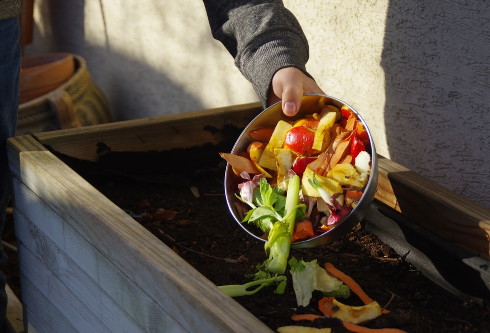 Pouring kitchen scraps into compost.