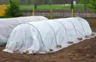 Vegetable beds covered with plastic held down by stones.