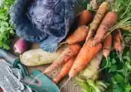 A closeup of various winter vegetables, such as carrots and cabbage, on a table.