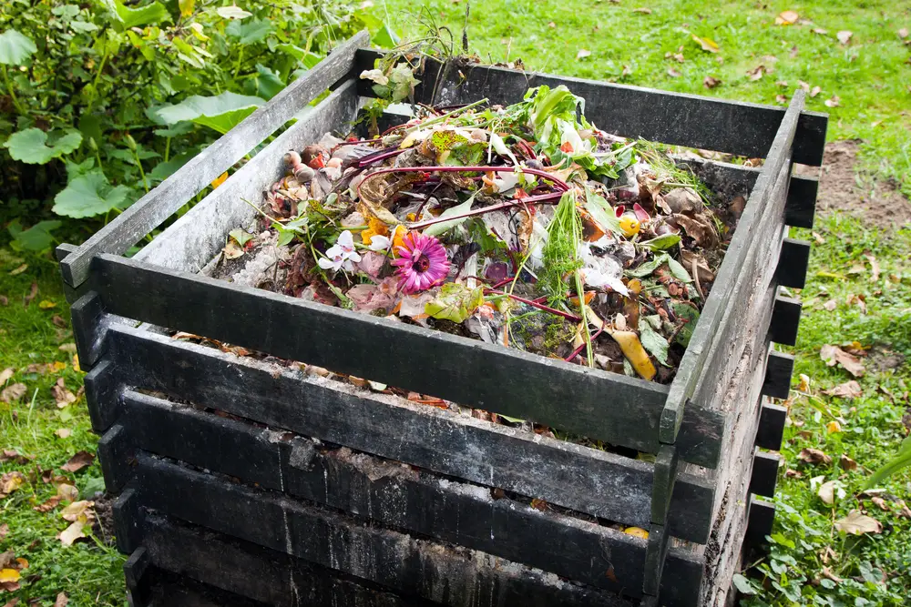 A full compost bin in a backyard.