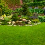 How To Create A Microclimate In Your Garden: Step-By-Step Guide